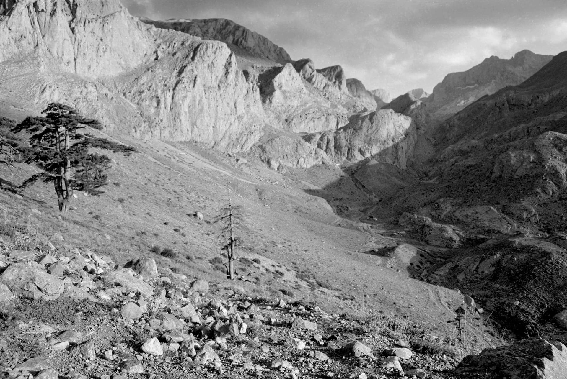 Black-and-white view of a lone tree in a rocky Taurus Mountains valley
