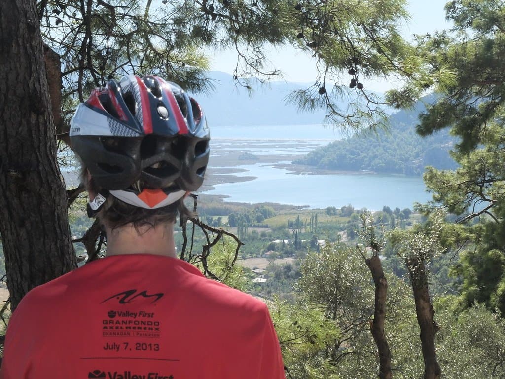 Cyclist looking out over a bay and green valley through pine trees
