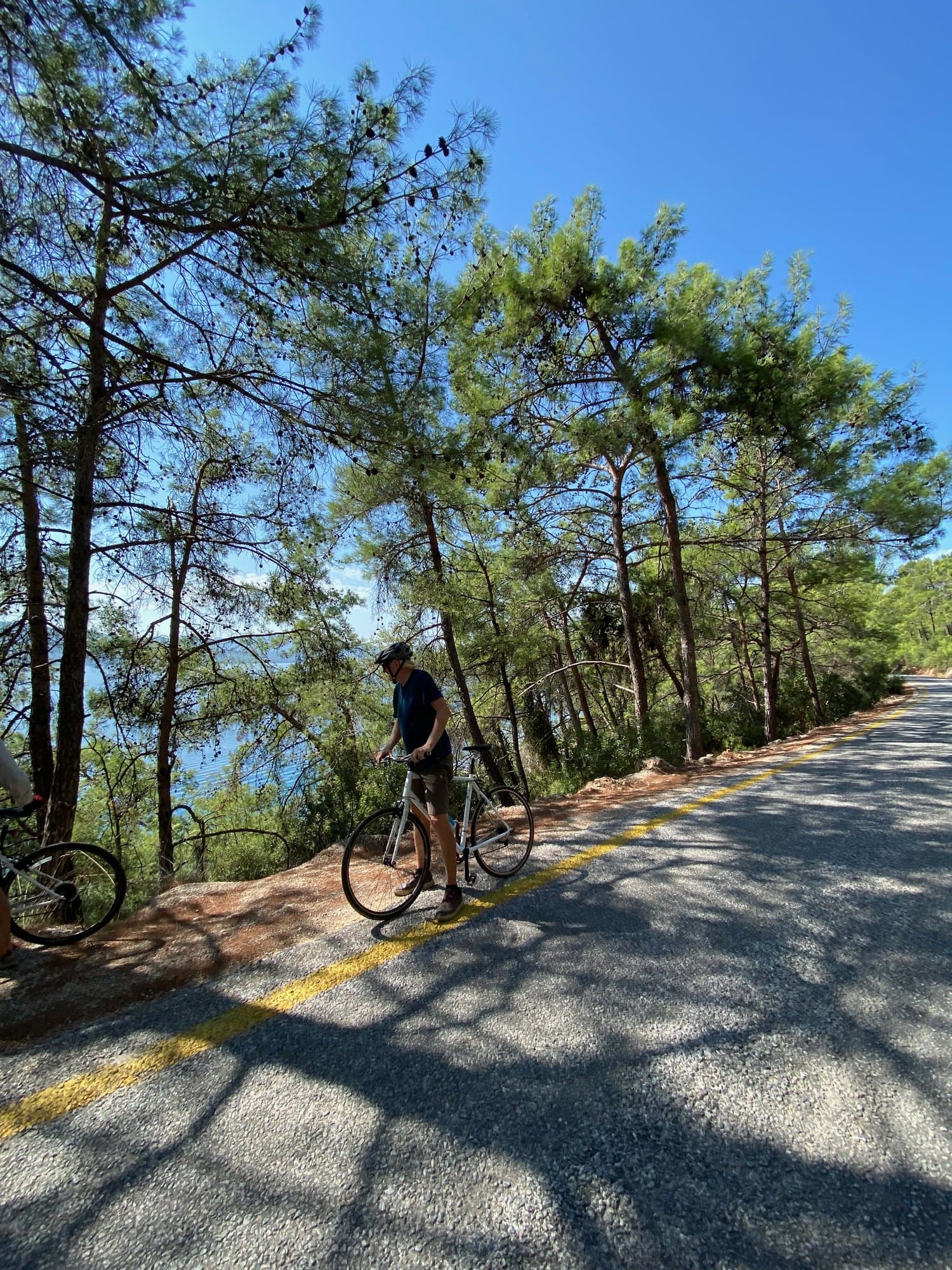 Cyclist riding along a shaded path dappled with pine tree shadows on the Aegean coast