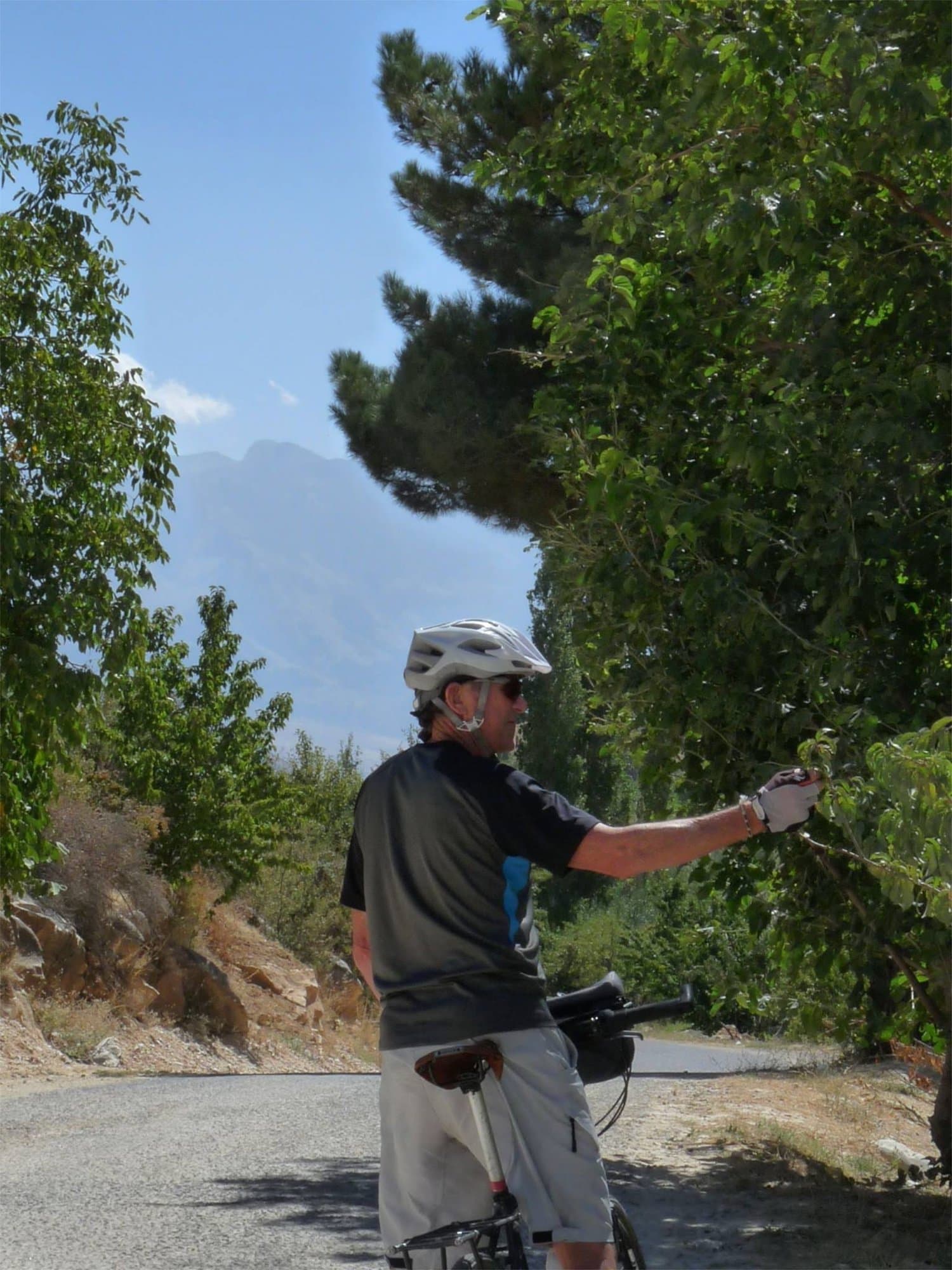 Cyclist standing with their bike on a tree-lined road in Cappadocia