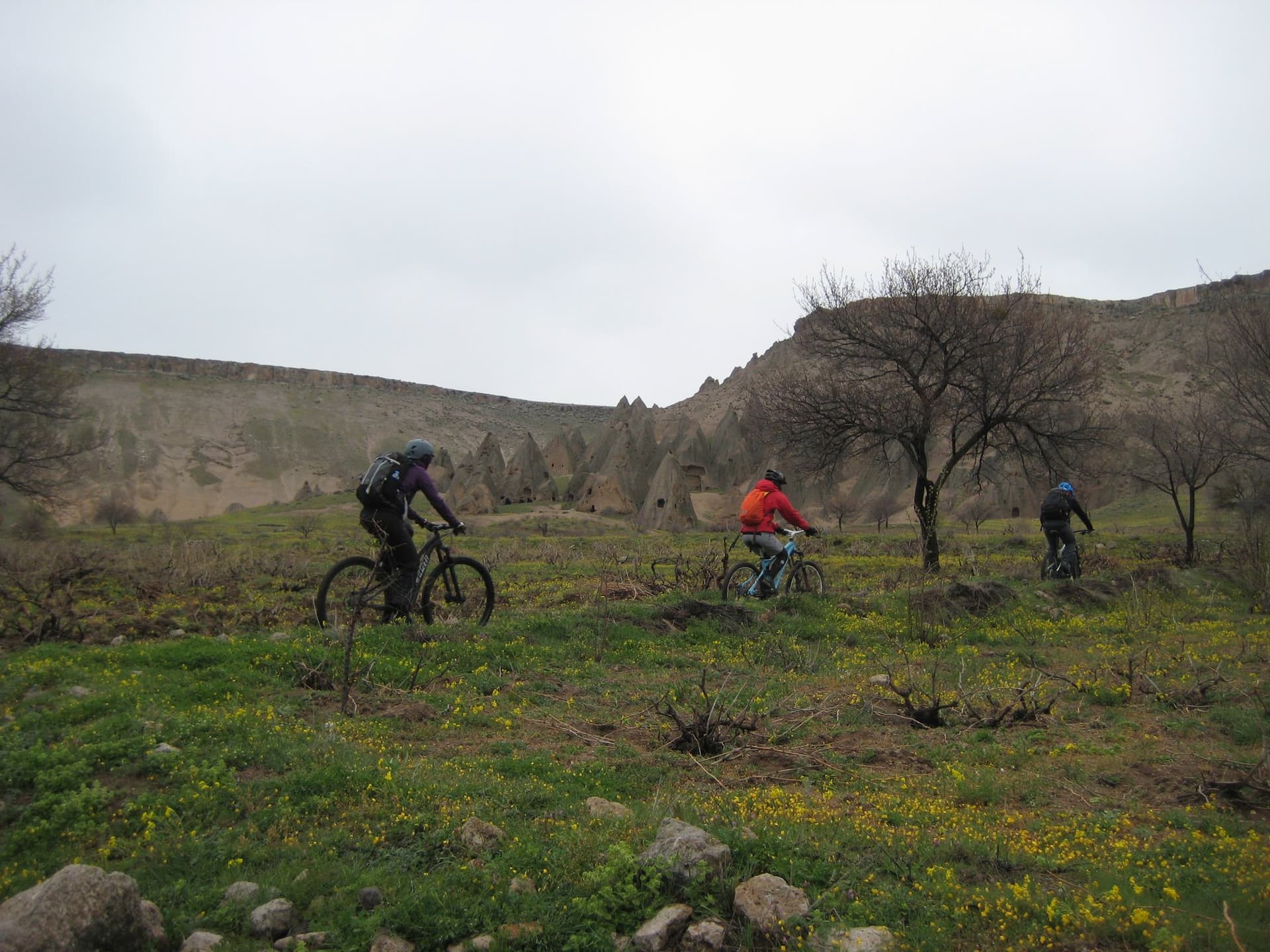 Cyclists riding through a green meadow past rock cone formations in Cappadocia