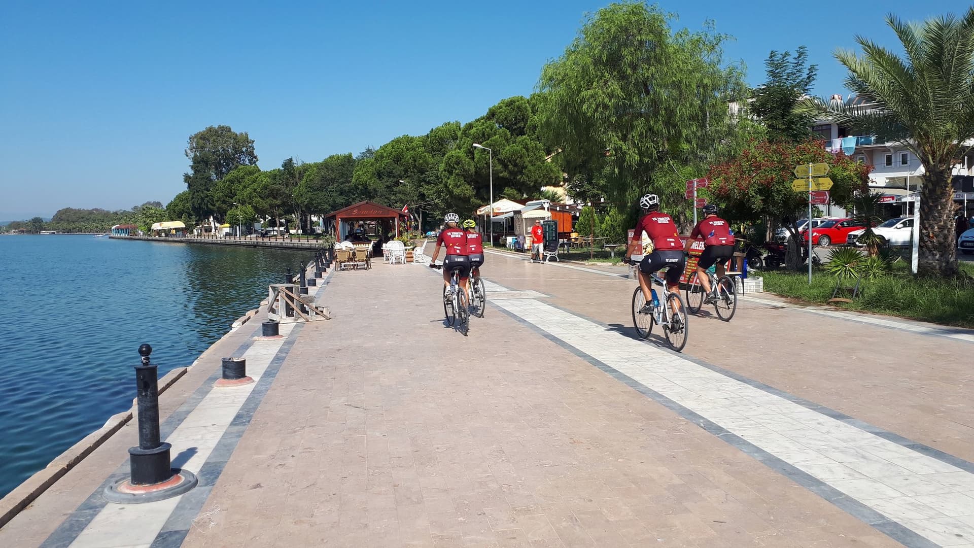 Cyclists riding a palm-lined waterfront promenade on the Aegean coast