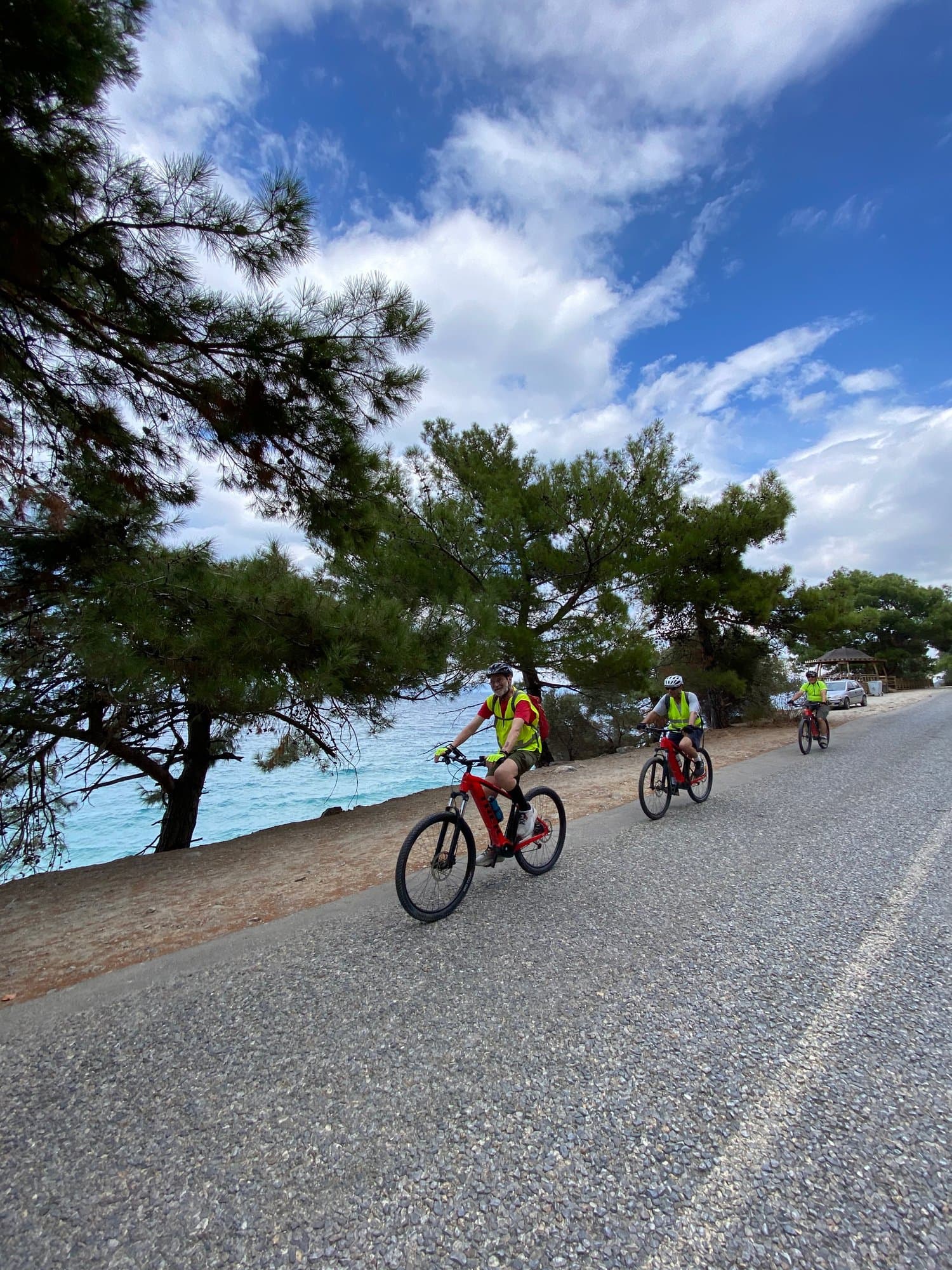 Cyclists riding a paved coastal road beneath pine branches on the Aegean coast