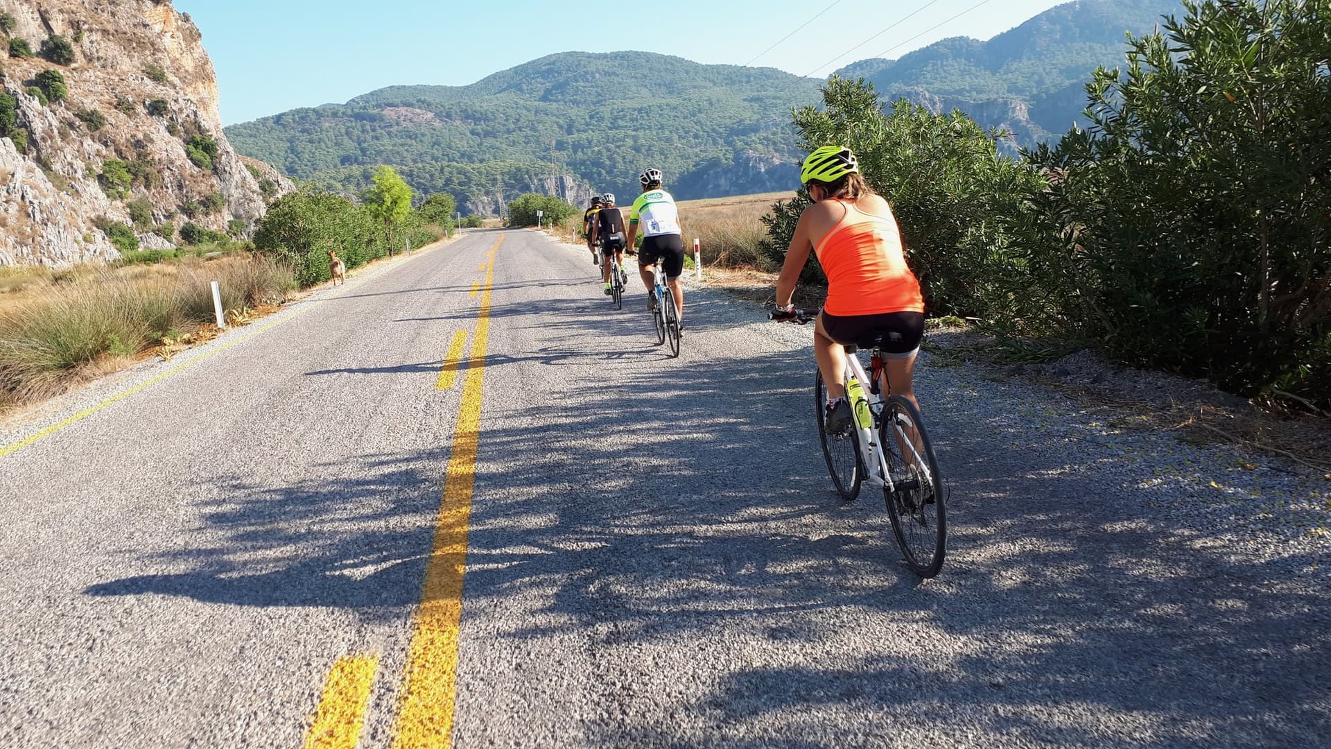 Cyclists riding a rural road through wooded hills on the Aegean coast