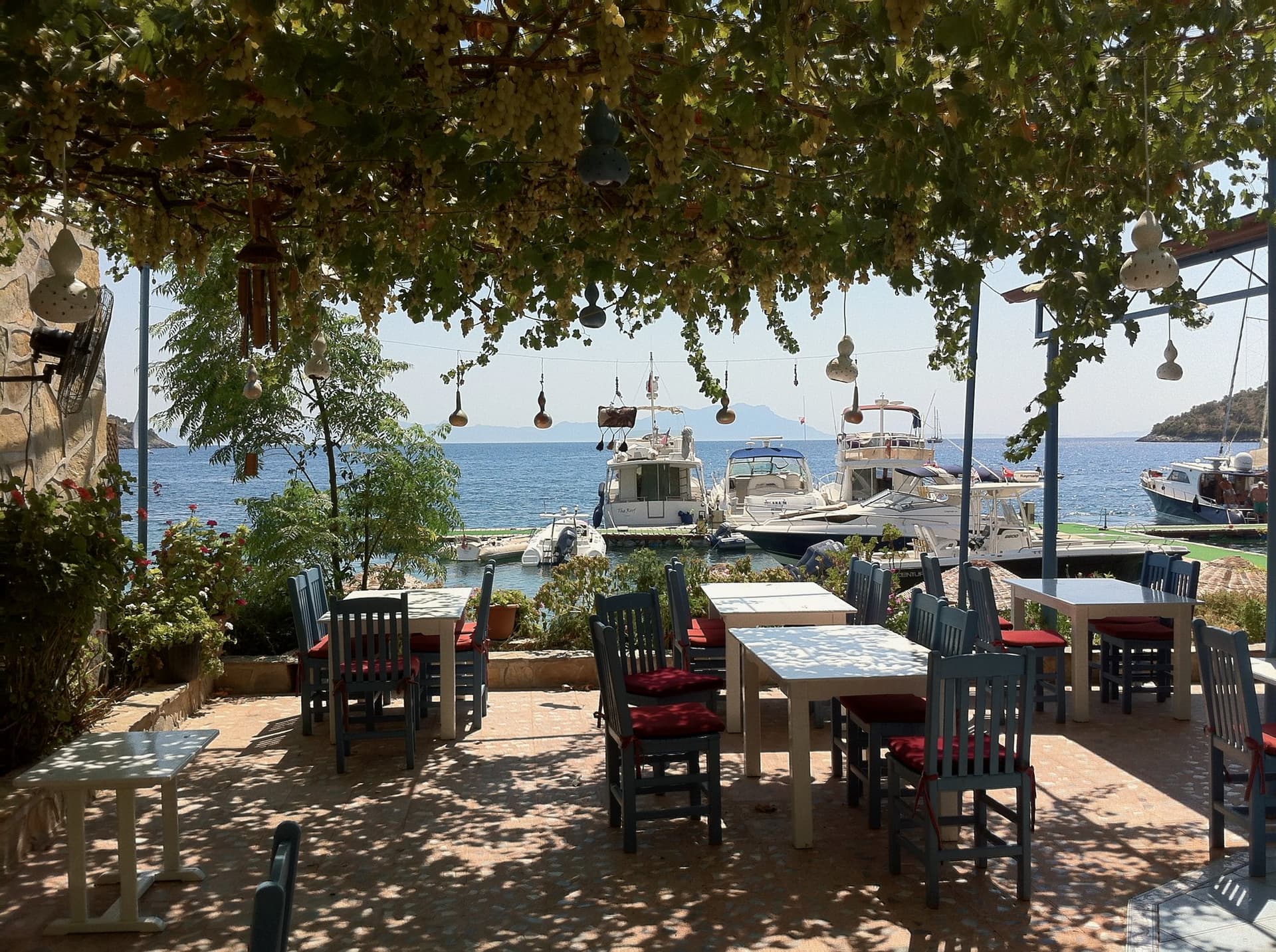 Dining tables under a vine trellis overlooking a harbor of boats