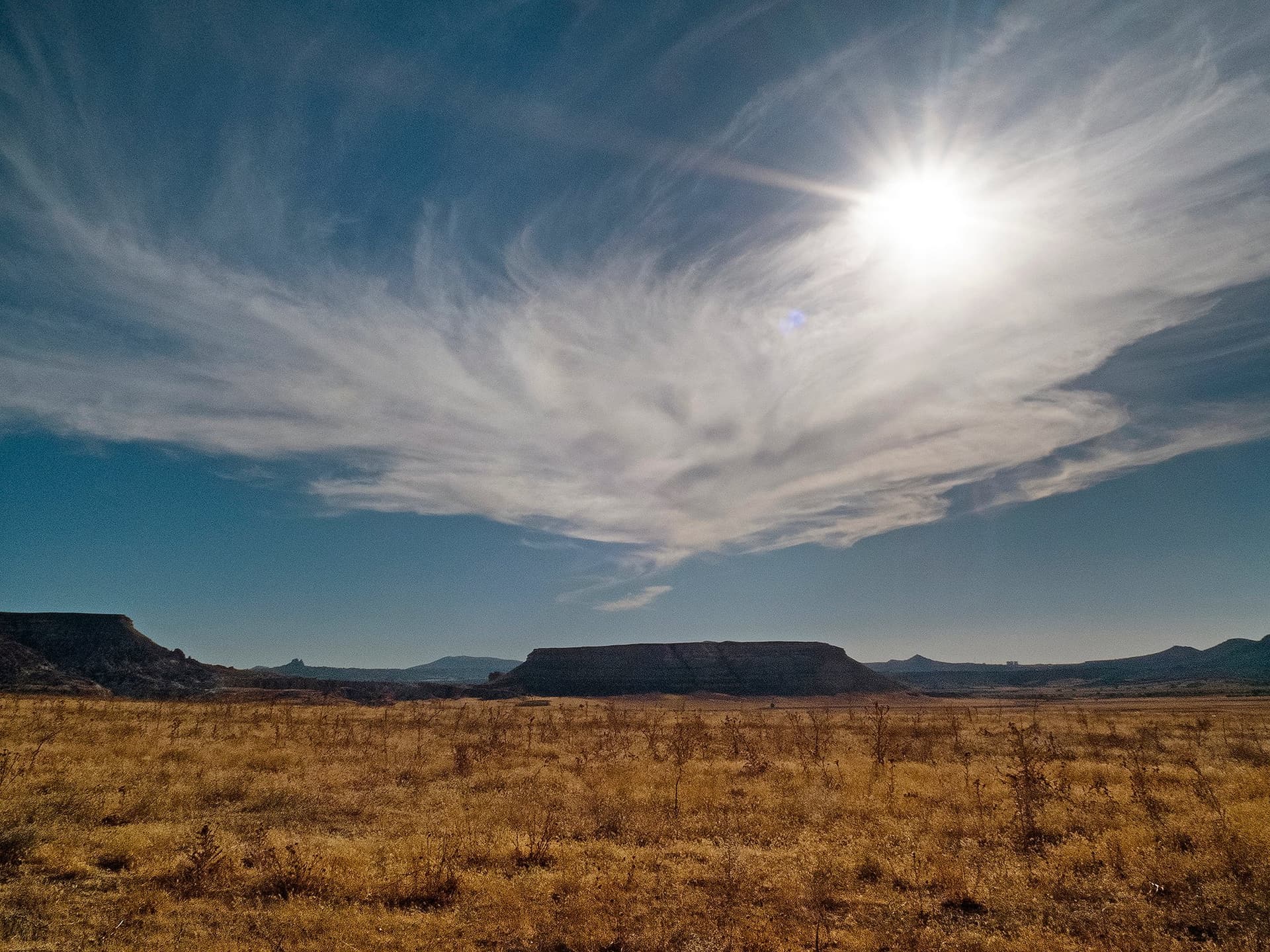 Dry golden grassland stretching toward a distant plateau under a bright sky
