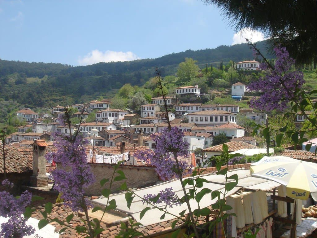 Hillside village of white houses seen past purple blossoming trees