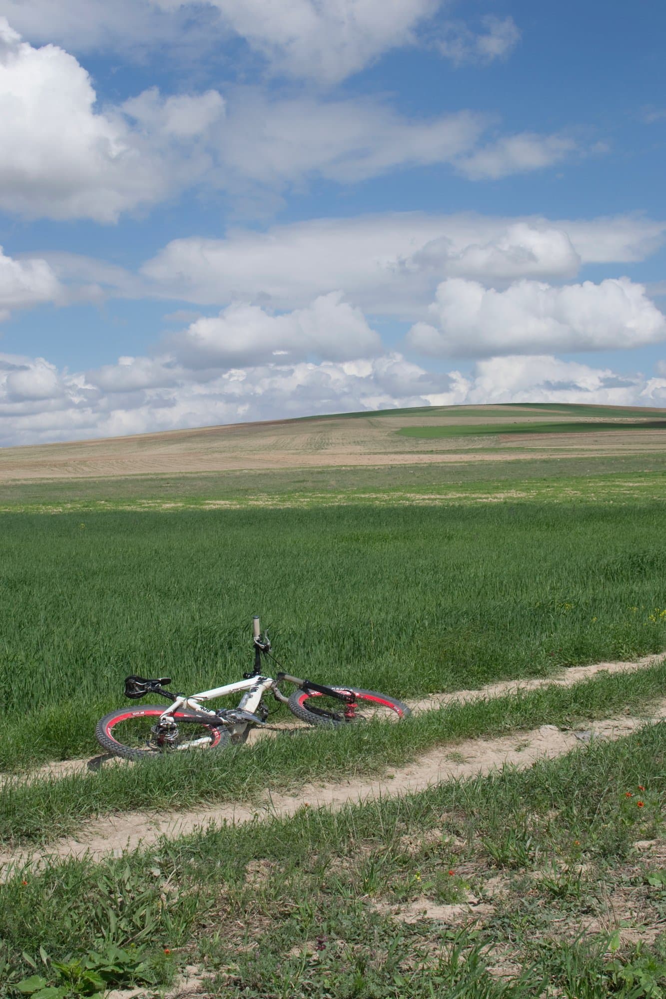 Mountain bike lying in a green field beneath a wide cloudy sky in Cappadocia