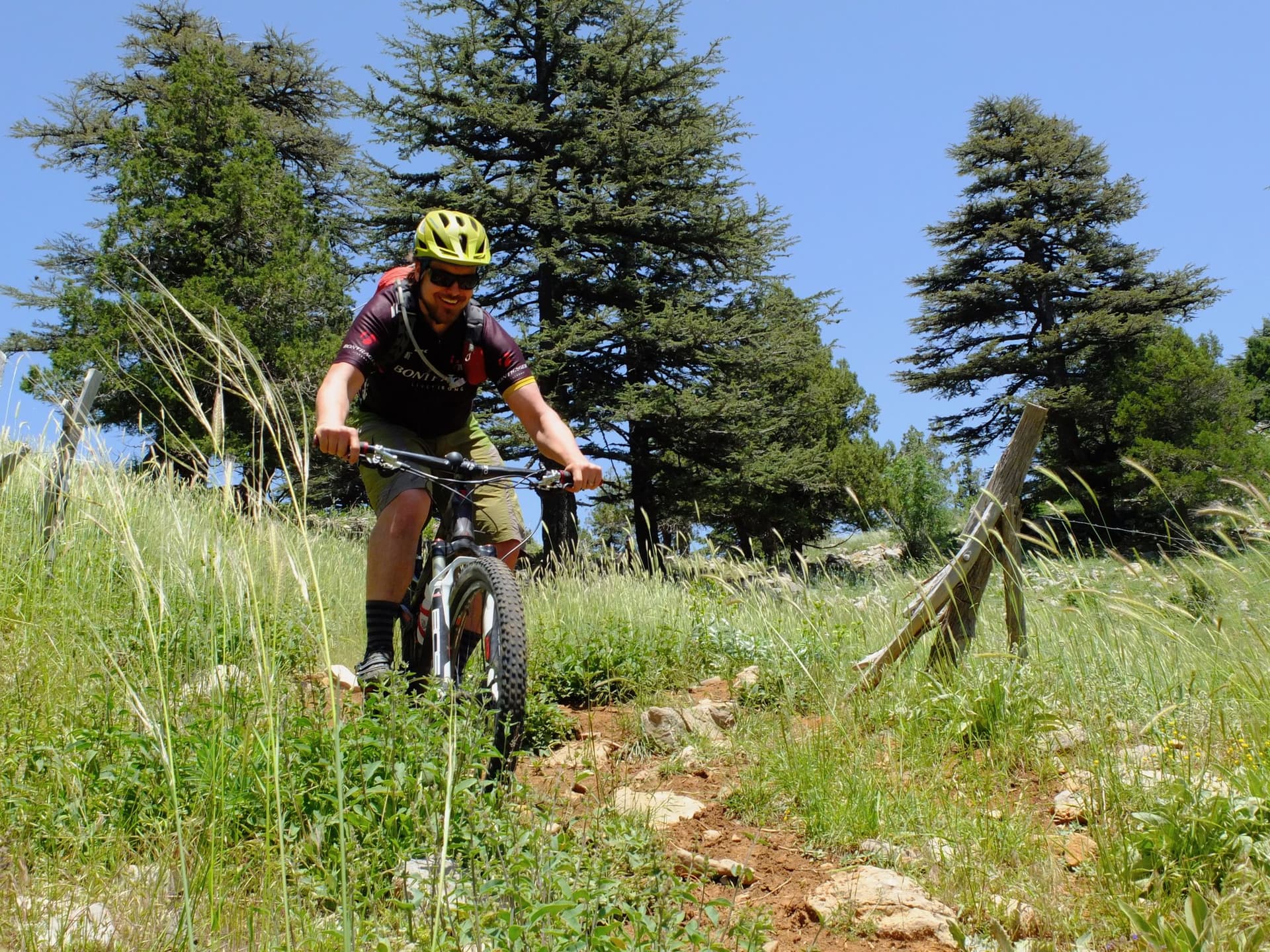 Mountain biker on grassy singletrack through an ancient cedar forest in the Taurus Mountains
