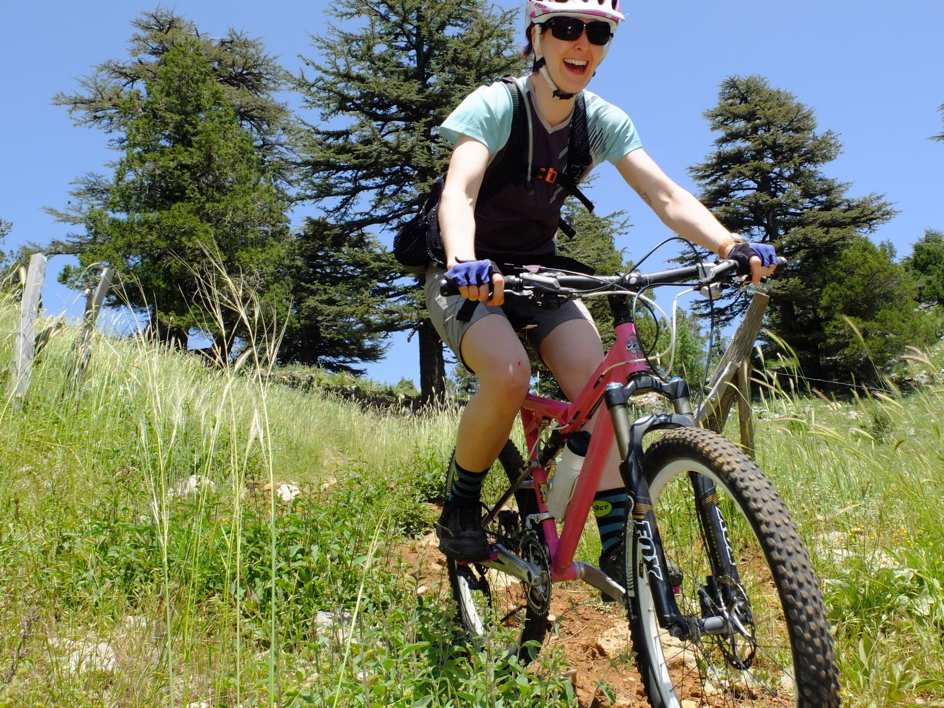 Mountain biker riding through a grassy pine-shaded meadow in the Taurus Mountains