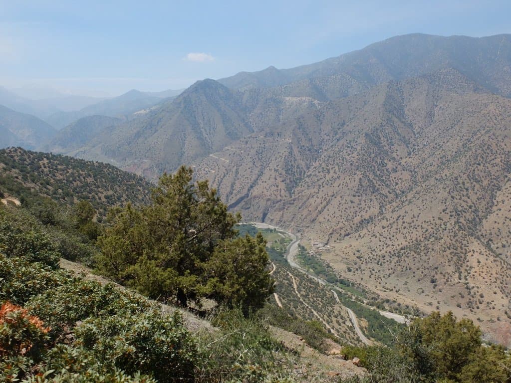 River winding through a forested valley in the Atlas Mountains, Morocco