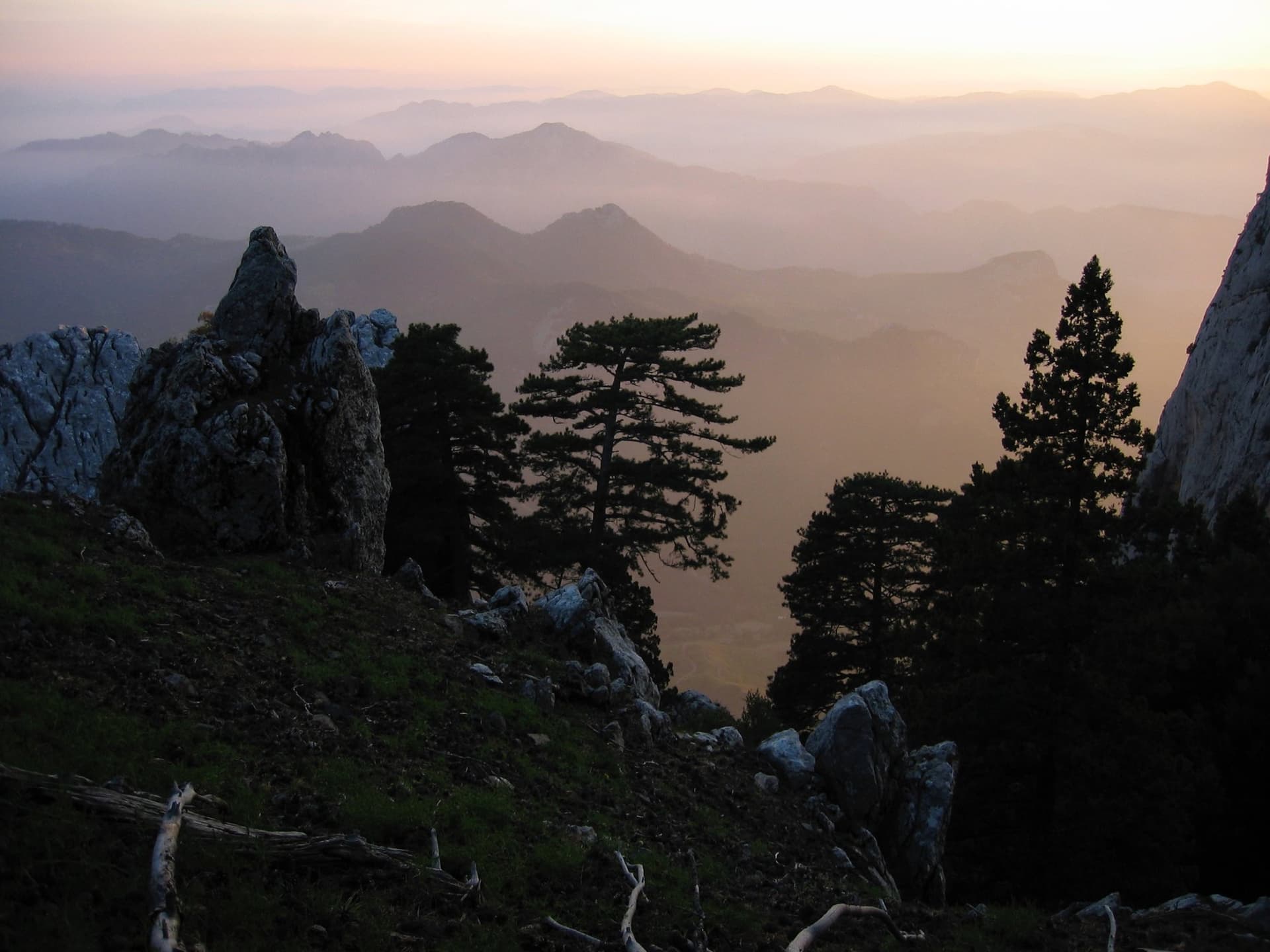 Silhouetted pine trees overlooking a misty valley at dusk in the Taurus Mountains