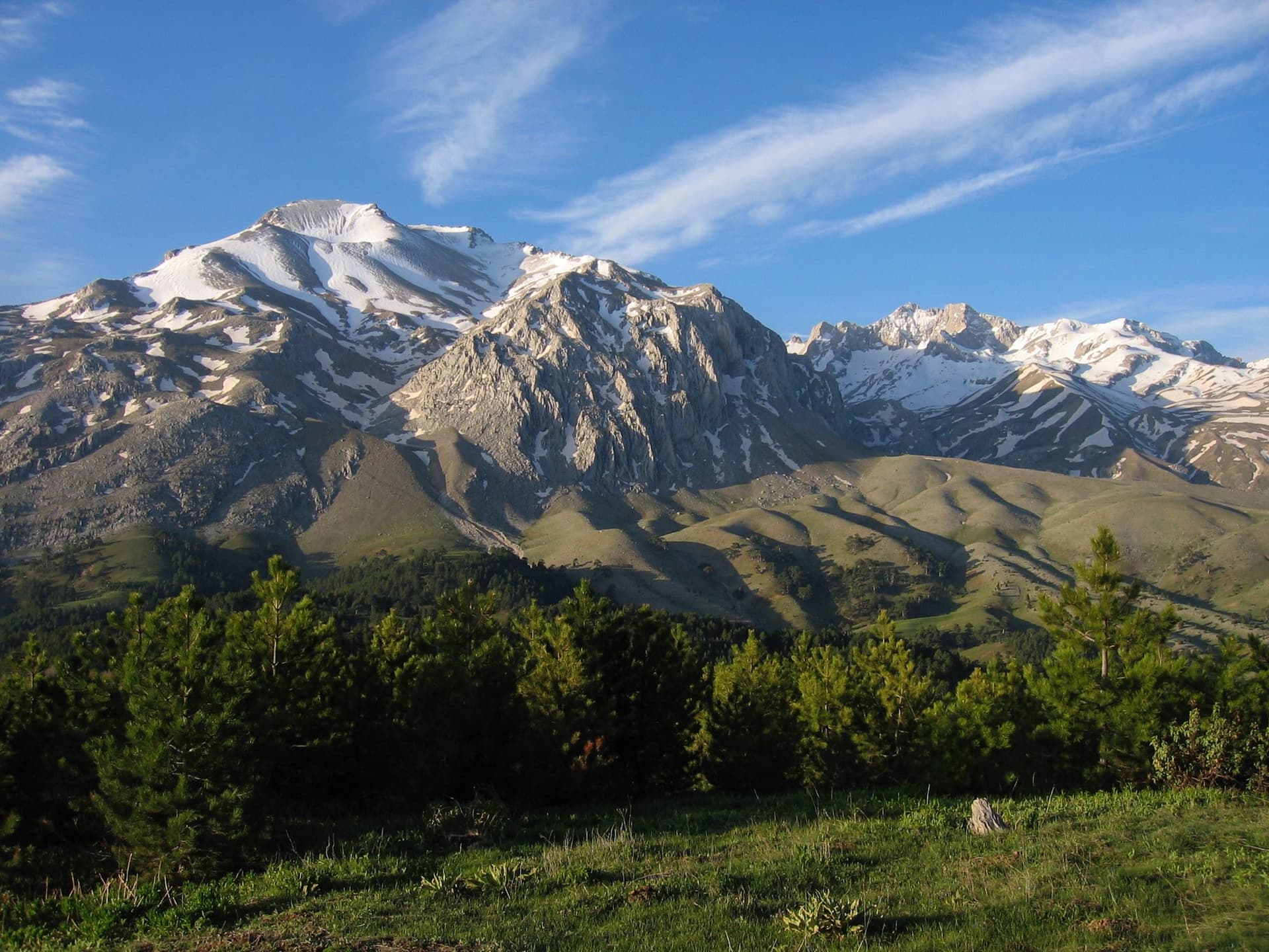 Snow-capped Taurus peak rising above pine forest and an open grassy meadow