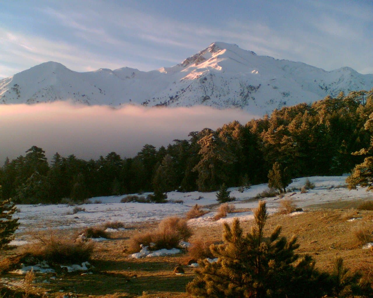 Snow-covered Taurus peak rising above a cloud bank over autumn forest and open clearing