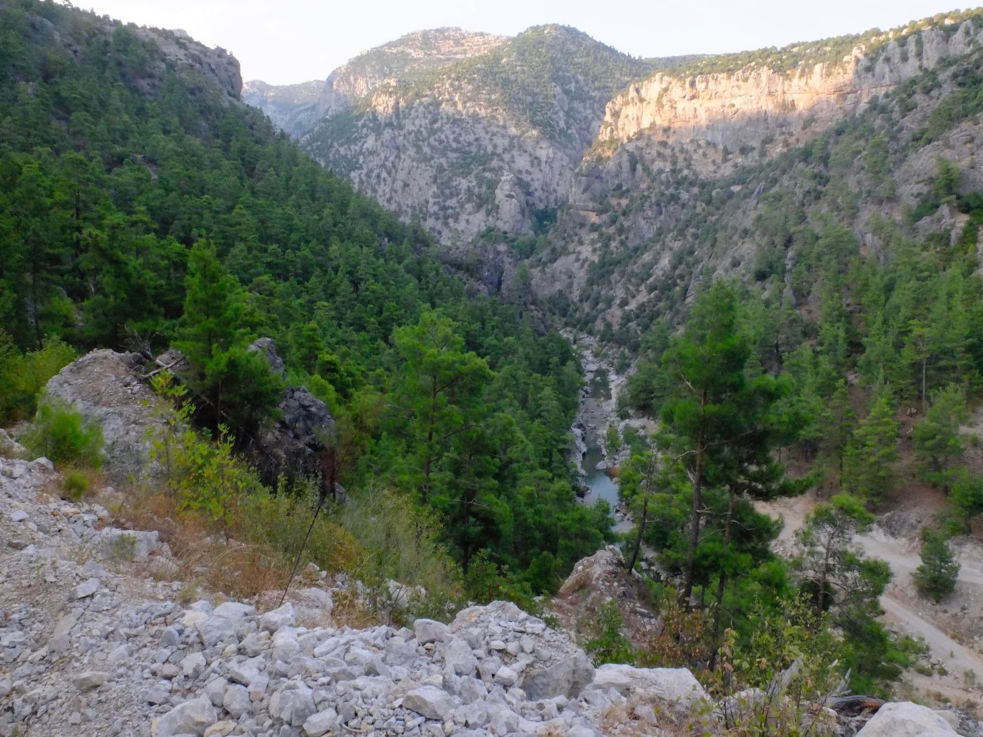 Steep pine-forested gorge cutting through the Taurus Mountains