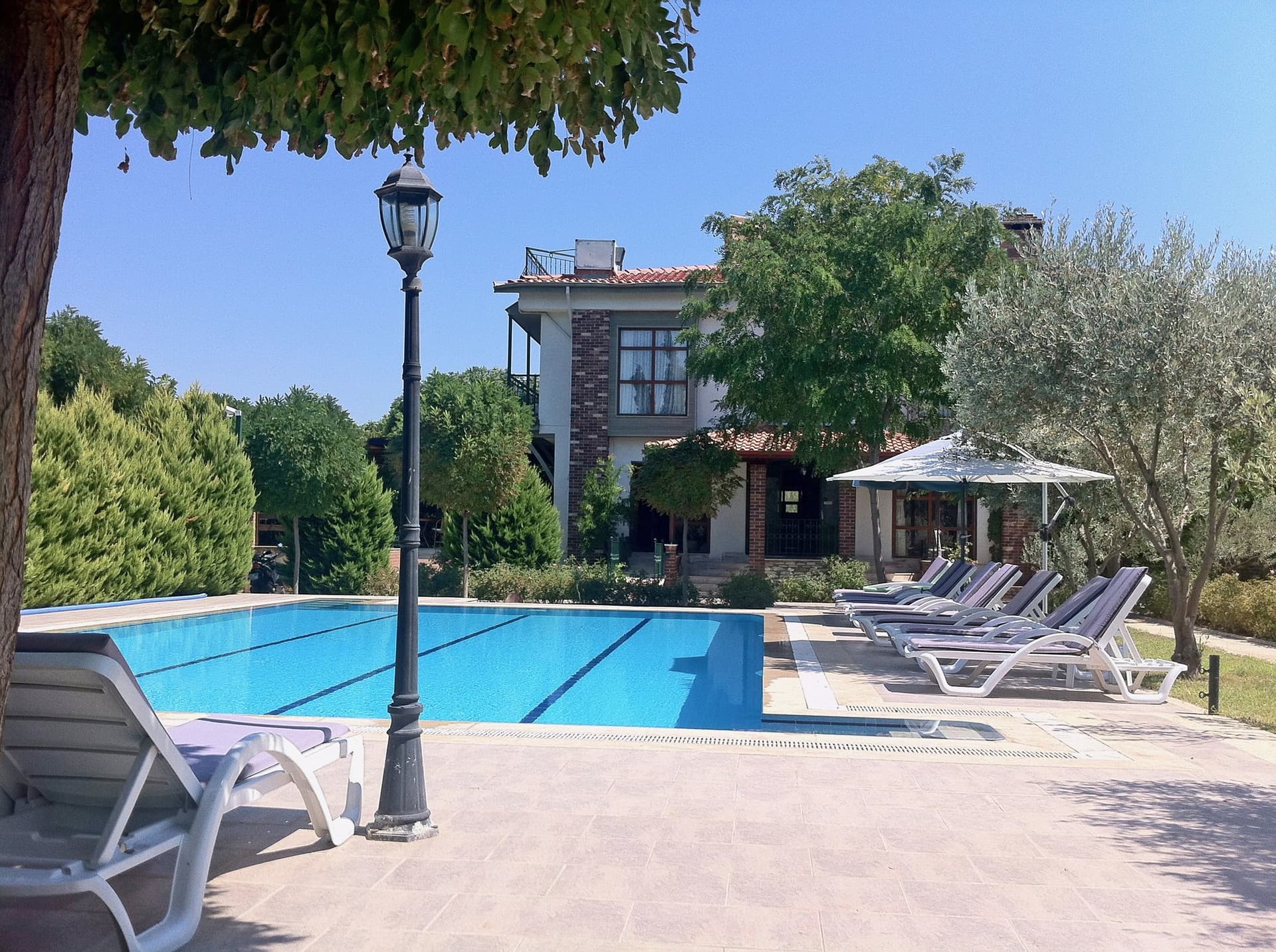 Swimming pool and sun loungers in a garden at a boutique hotel