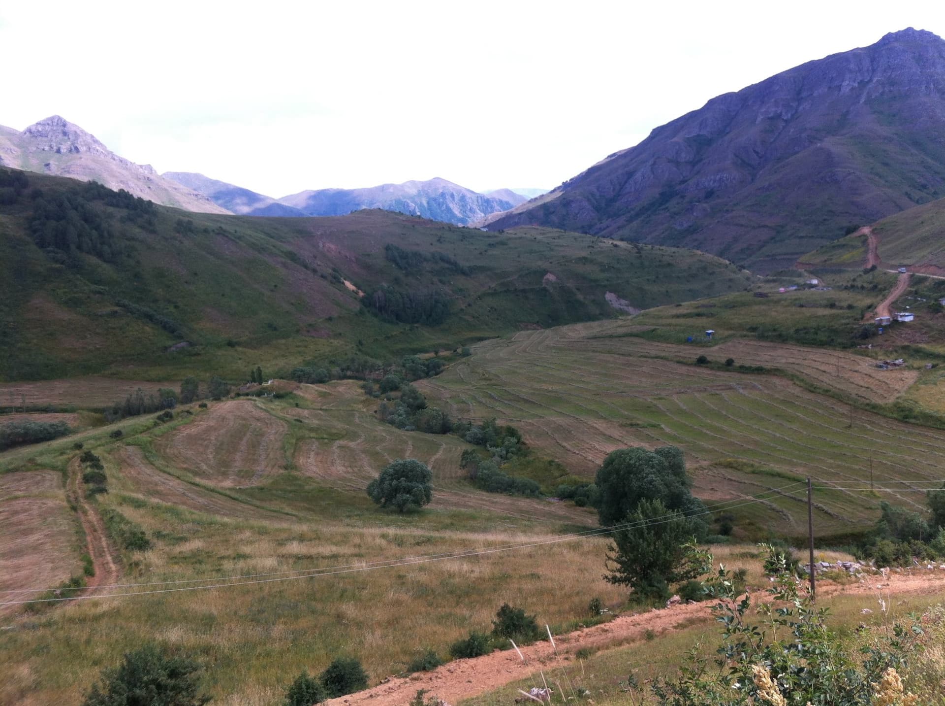 Terraced green valley with scattered trees below mountain slopes in the Kackar Mountains