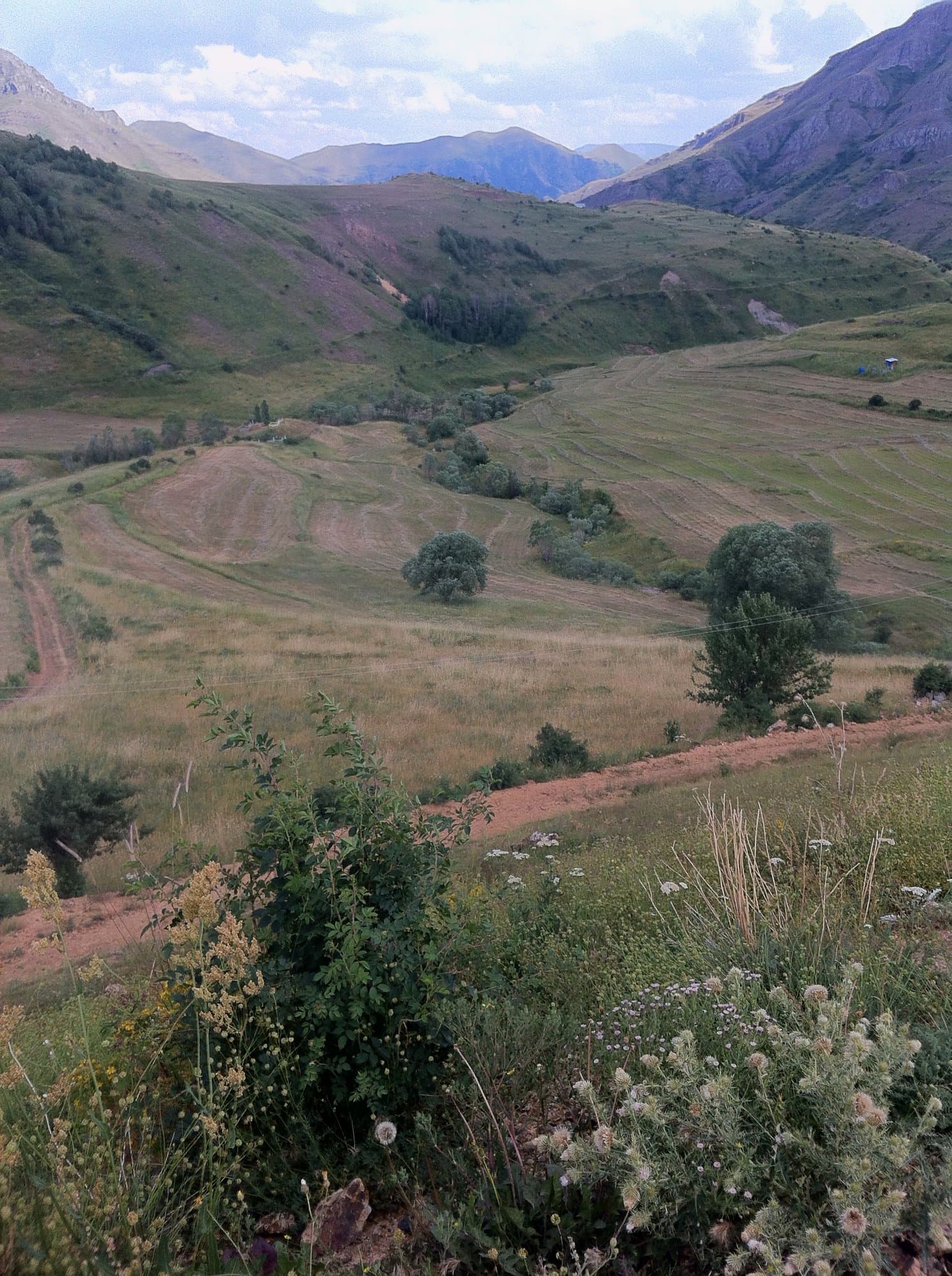 Terraced green valley with a stream running through farmland in the Kackar Mountains