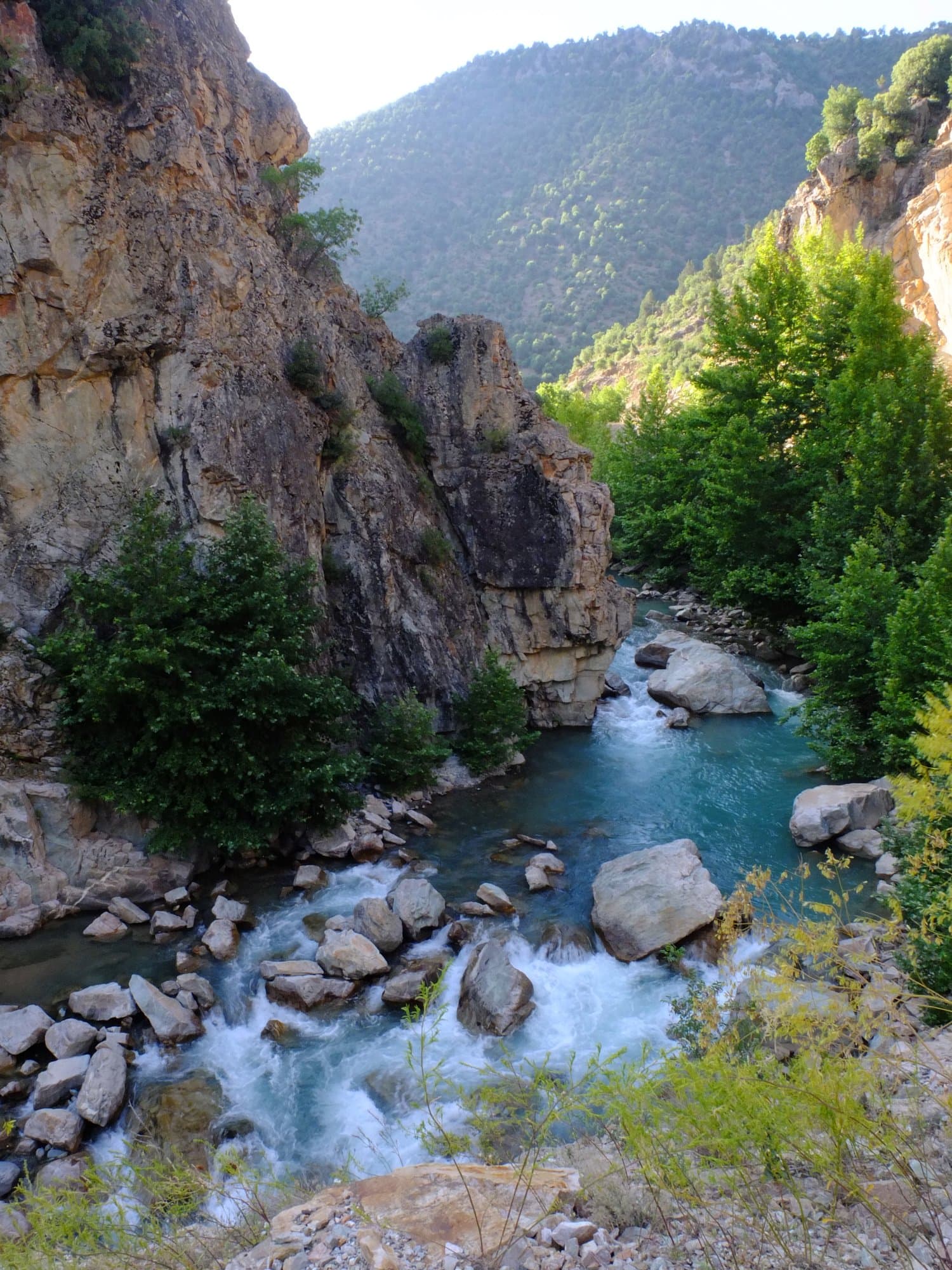 Turquoise mountain stream rushing through a forested gorge in the Taurus Mountains