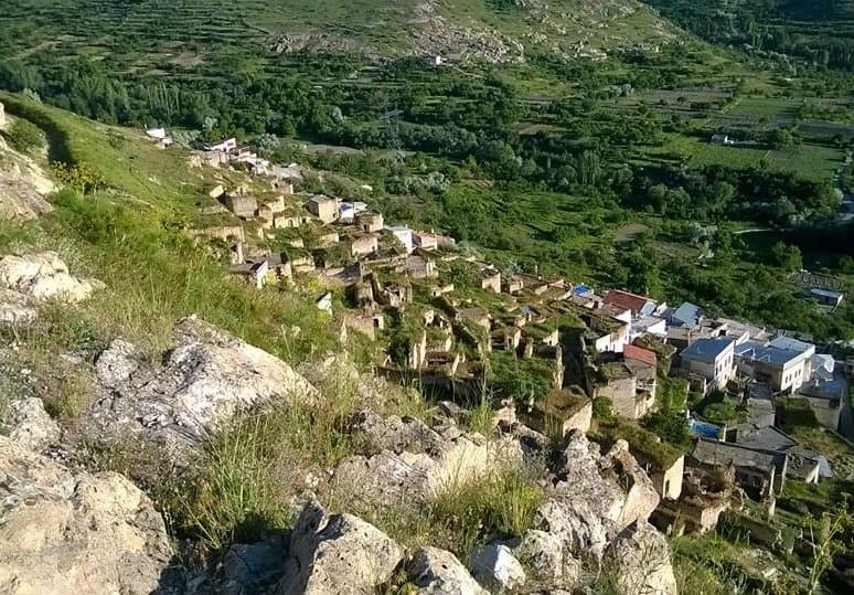 Village houses terraced across a green hillside in Cappadocia