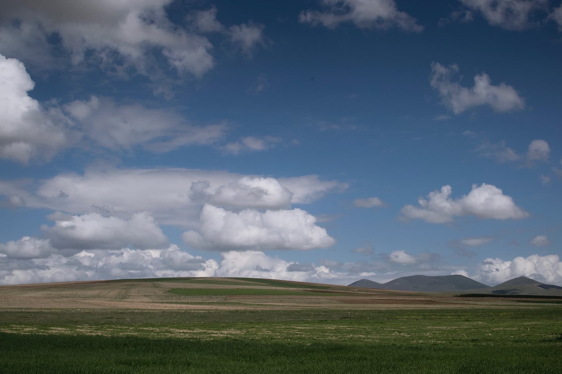 Wide green field stretching beneath billowing clouds in Cappadocia